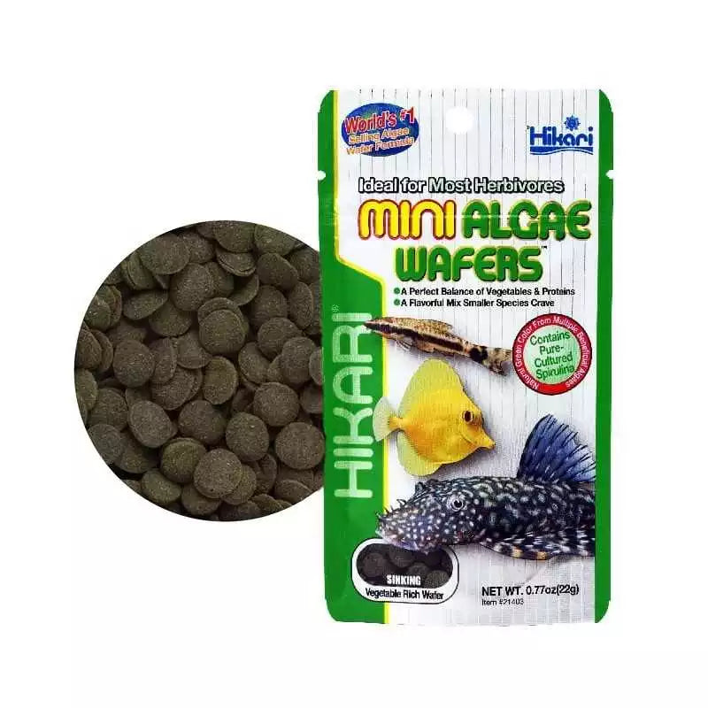 Hikari Mini Algae Wafers