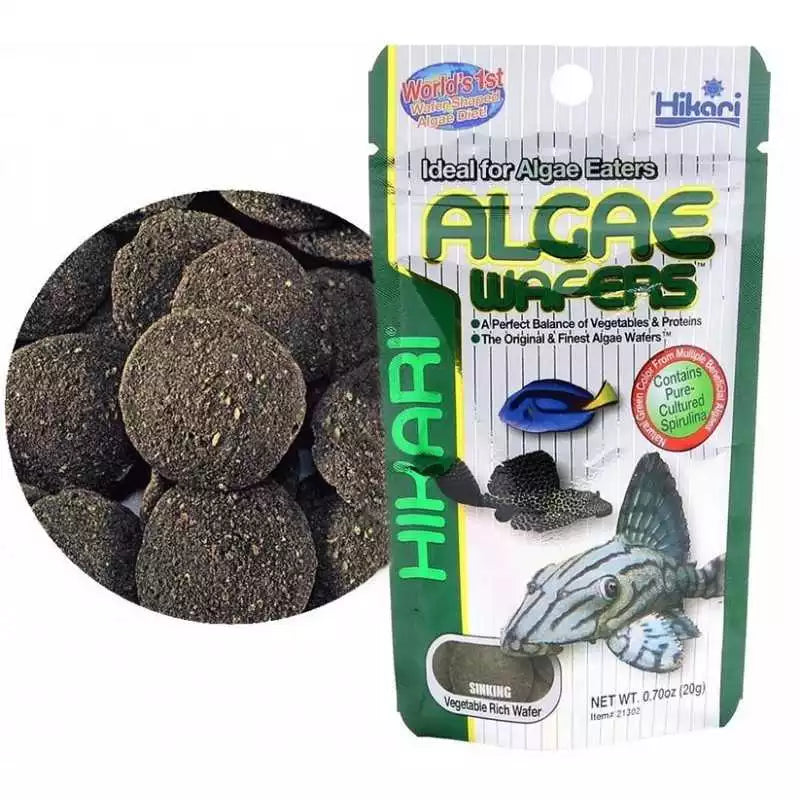 Hikari Algae Wafers