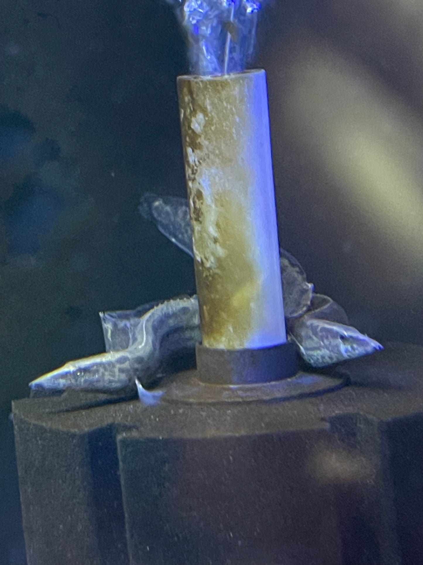 Monster Size Tire Track Eel