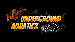 undergroundaquaticz logo