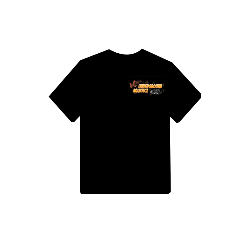 T- Shirt